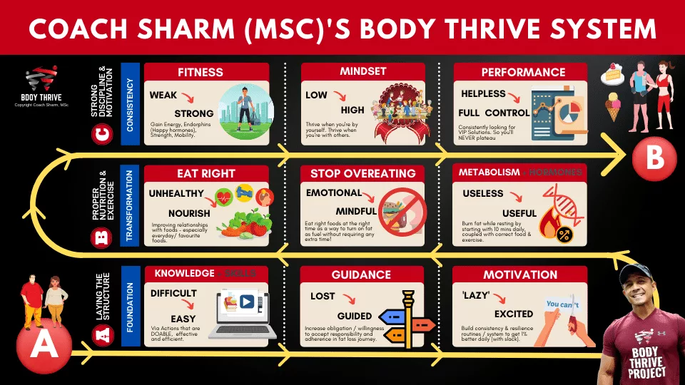 Body Thrive System Diagram