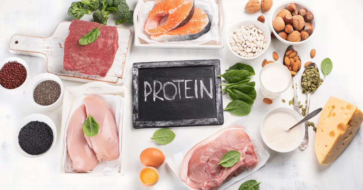 The Power Of Protein