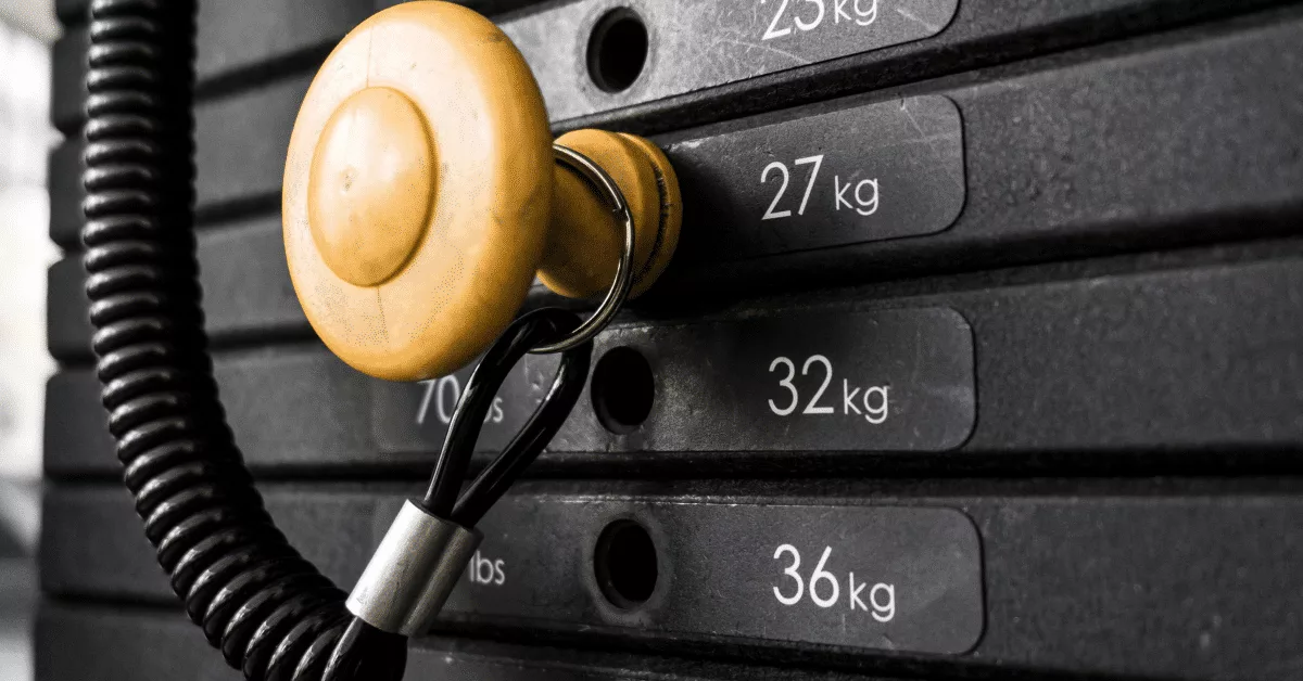 Principles Of Weight Training